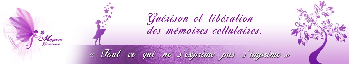 bandeau et logo